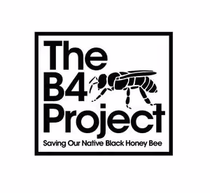 B4Project Logo