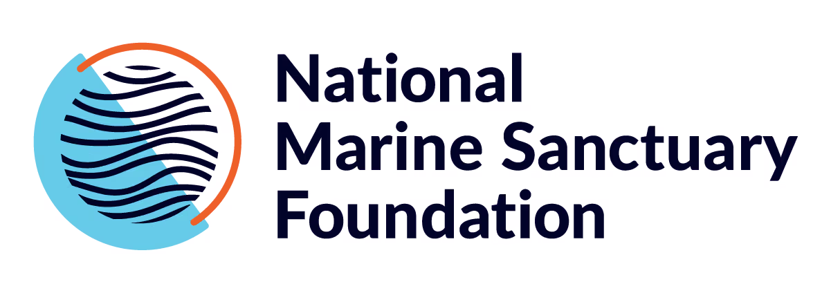 Big Green Logo