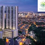 treeo-affordable