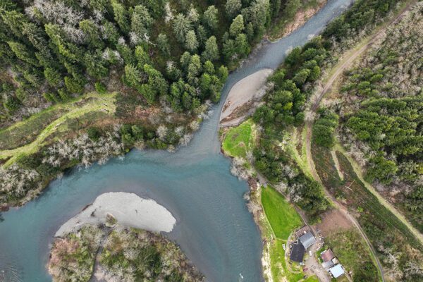 Wild Salmon Center