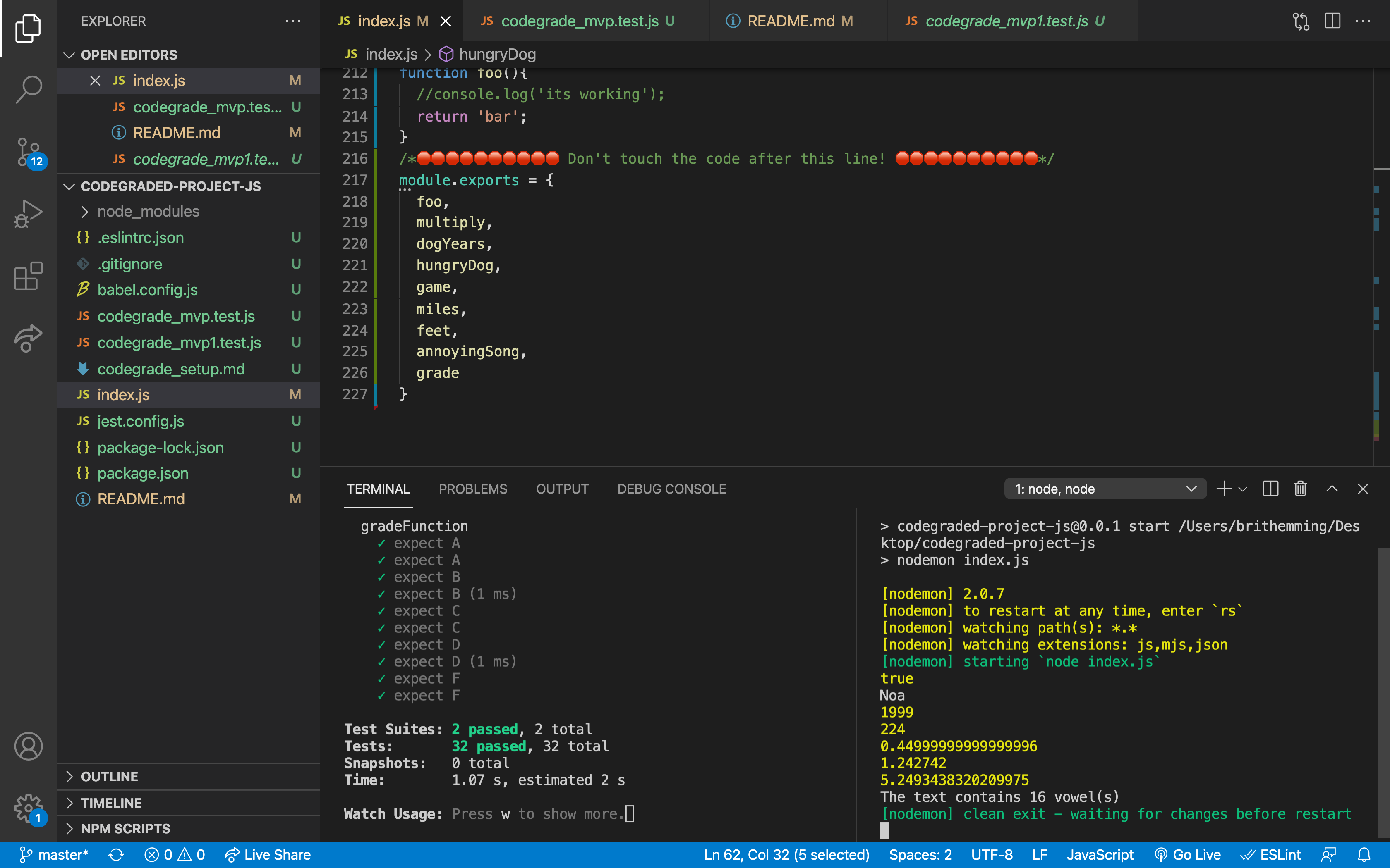 your terminal should look like this alt text