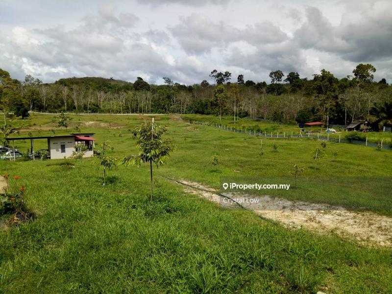 Agricultural Land for Sale in Raub, Pahang by Crystal Low - iProperty.com.my