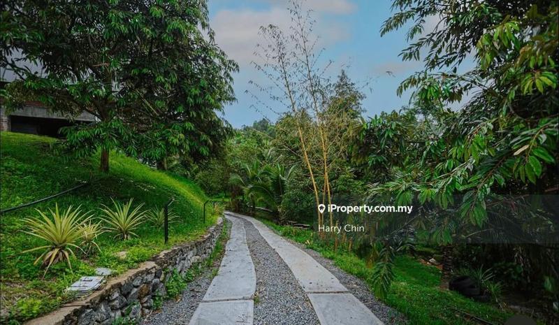 Agricultural Land for Sale in Bentong, Pahang by Harry Chin - iProperty.com.my