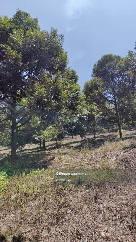 Agricultural Land for Sale in Beranang, Ulu Langat by Wilson Tan - iProperty.com.my