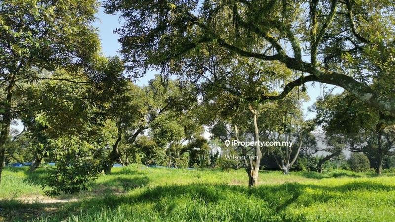 Agricultural Land for Sale in Beranang, Ulu Langat by Wilson Tan - iProperty.com.my