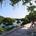 silicon-island-gallery2