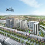 aralia1