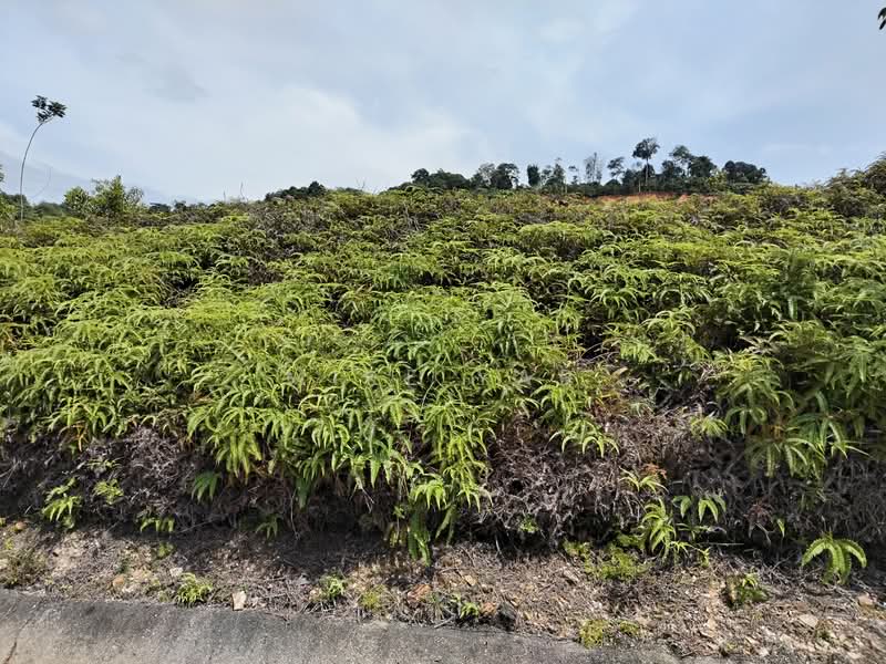 Commercial Land for Sale in Sungai Buloh, Selangor by Mike Yap - Exterior - iProperty.com.my