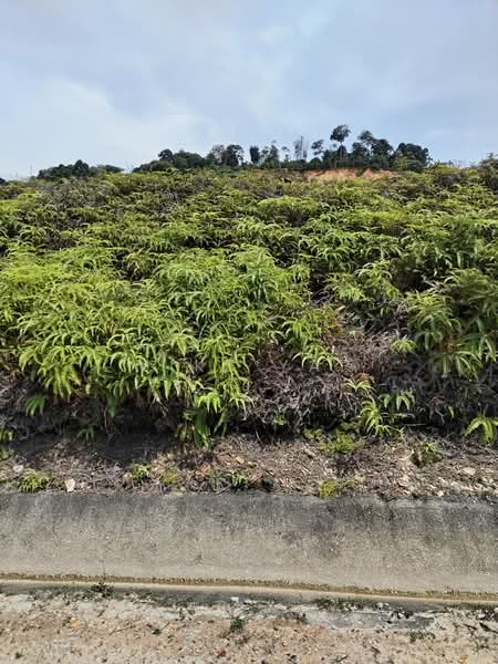 Commercial Land for Sale in Sungai Buloh, Selangor by Mike Yap - Exterior - iProperty.com.my