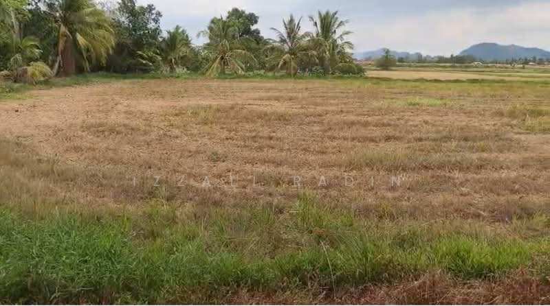 Agricultural Land for Sale in Kangar, Perlis by Izzati Radin - Exterior - iProperty.com.my