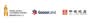 GuocoLand, Hong Leong Holdings Limited, CSC Land Group