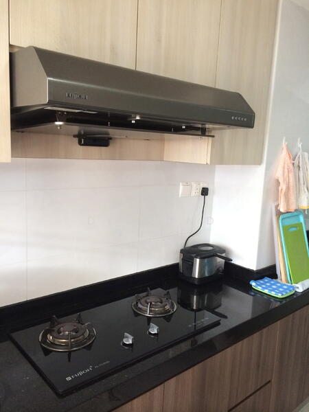 Greenleaf Lane, Greenleaf, 6 Bedrooms, 5,425 sqft, Semi-Detached House For Rent, by Desmond Kuah, 19325651 - PropertyGuru.com.sg
