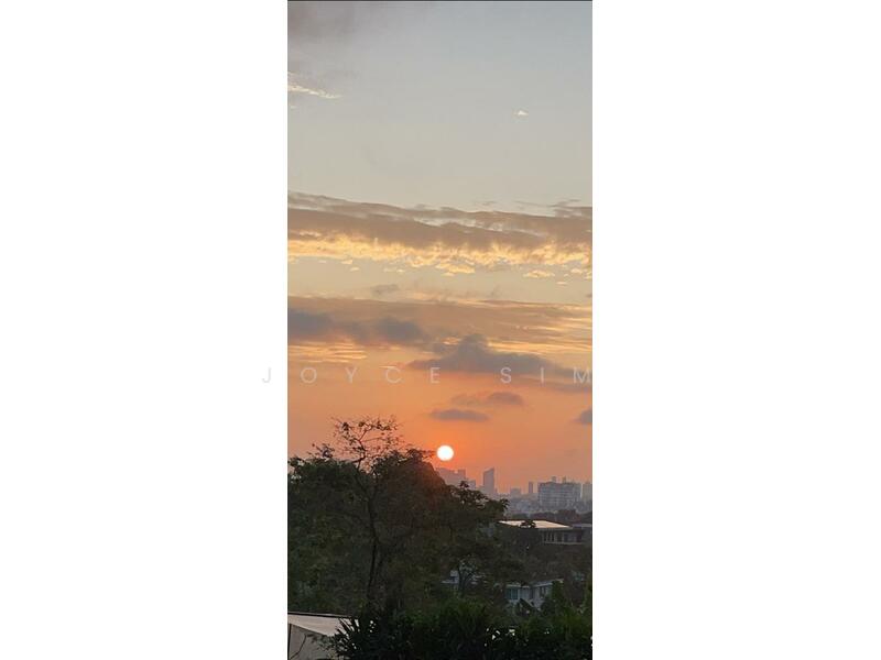 ❤️ Wide Frontage GCB, Flat Land, best price, Olive road, Joan road, Chancery Lane, Studio, 50 sqft, Good Class Bungalow For Sale, by Joyce Sim, 25629174 - View - PropertyGuru.com.sg