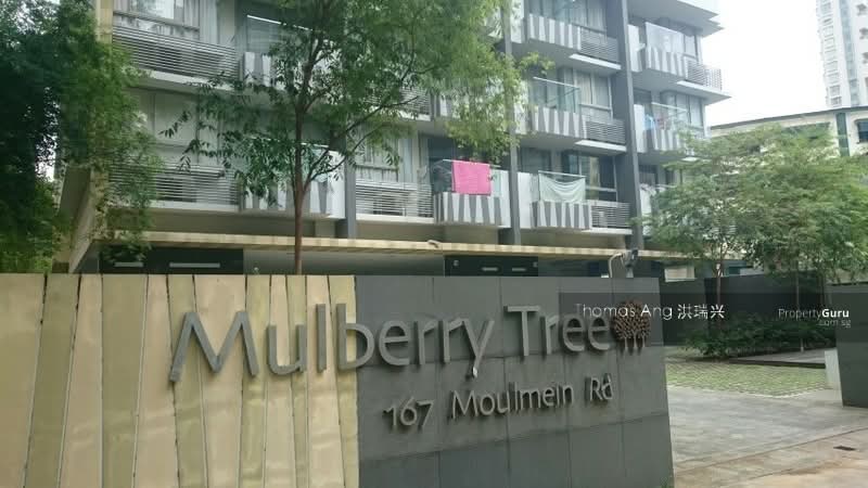 Mulberry Tree, 167 Moulmein Road, 2 Bedrooms, 1,187 sqft, Apartment For Rent, by Merywaty (Mery), 500058750 - Logo View - PropertyGuru.com.sg