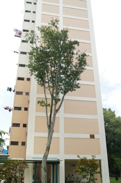 301 Clementi Avenue 4, 301 Clementi Avenue 4, 3 Bedrooms, 990 sqft, HDB Flat For Rent, by Jeslyn Hoe, 21122178 - PropertyGuru.com.sg