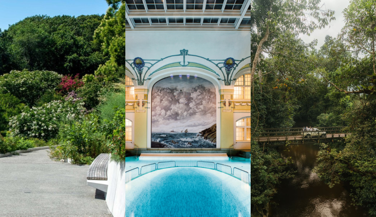 Editor’s Pick: The Art of Journey in 2025