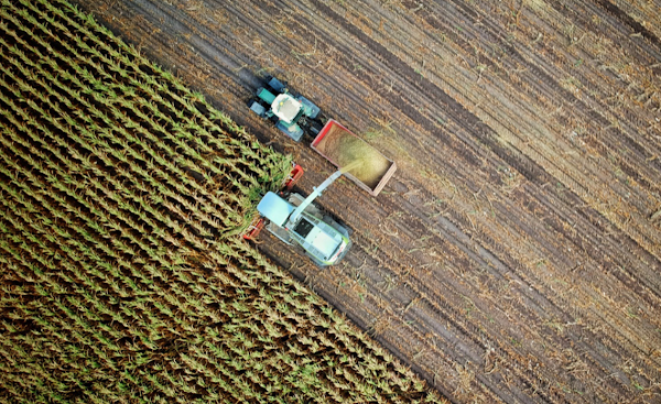 Download the PDF: Farm to table, digitally enabled