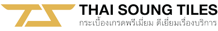logo-thaisoung