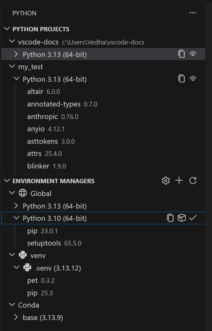 Screenshot showing the Python Projects view with two projects listed, each assigned a Python environment, and the Environment Managers section below with available interpreters and installed packages.